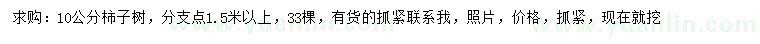 求購10公分柿子樹