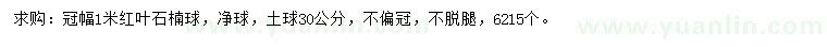 求購冠幅1米紅葉石楠球