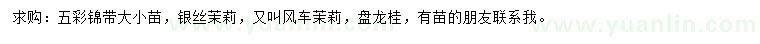 求購五彩錦帶、銀絲茉莉、盤龍桂