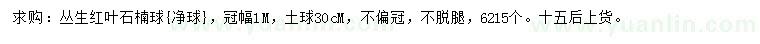 求購冠幅1米叢生紅葉石楠球