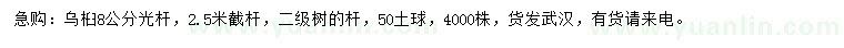 求購8公分烏桕