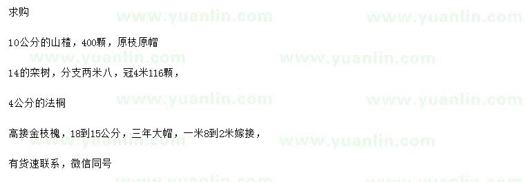 求購山楂、 欒樹、法桐等