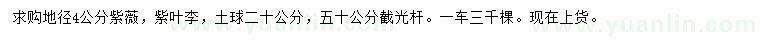 求購地徑4公分紫薇、紫葉李