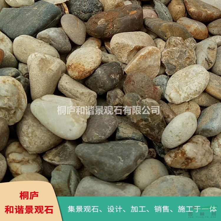 浙江產(chǎn)地直銷鵝卵石規(guī)格齊全
