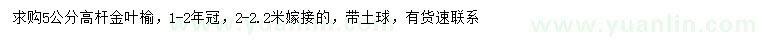 求購5公分高桿金葉榆