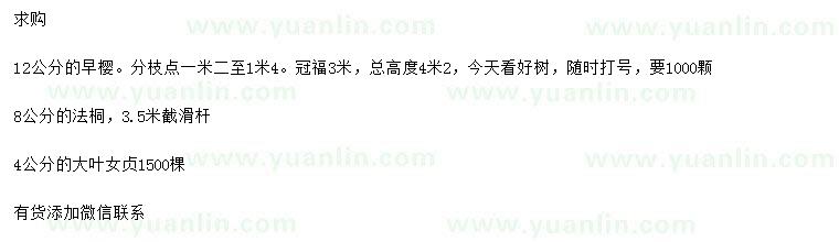求購早櫻、法桐、大葉女貞