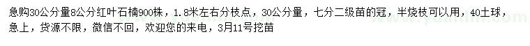 求購30量8公分紅葉石楠