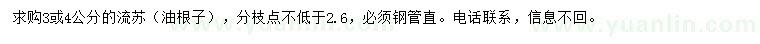 求購3、4公分流蘇