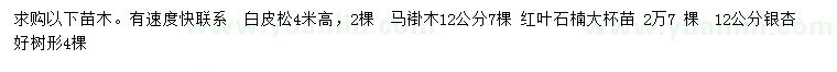 求購白皮松、馬褂木、紅葉石楠等