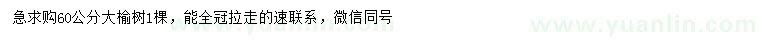求購60公分榆樹