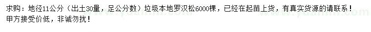 求購30量11公分本地羅漢松