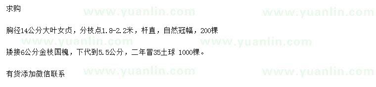 求購胸徑14公分大葉女貞、6公分金枝國槐