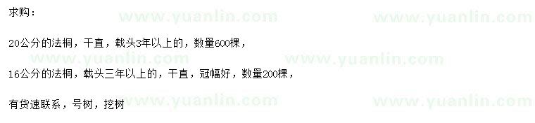 求購16、20公分法桐