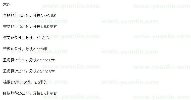 求購欒樹(shù)、櫻花、苦楝等