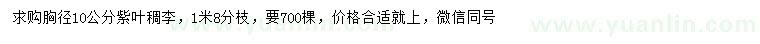 求購(gòu)胸徑10公分紫葉稠李