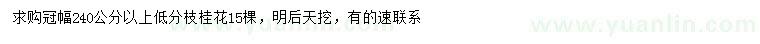 求購冠幅240公分以上桂花