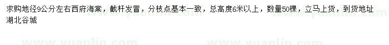 求購(gòu)地徑9公分左右西府海棠
