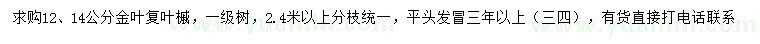 求購12、14公分金葉復(fù)葉槭