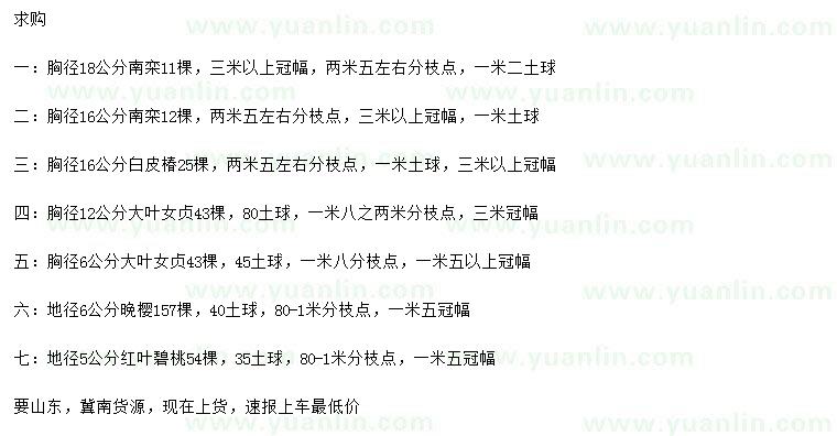 求購南欒、白皮椿、大葉女貞等
