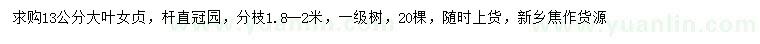 求購13公分大葉女貞