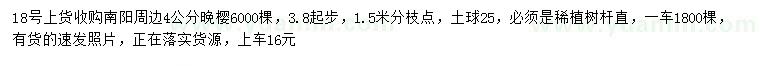 求購3.8公分以上晚櫻