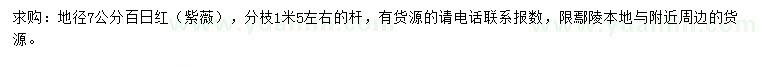 求購地徑7公分百日紅