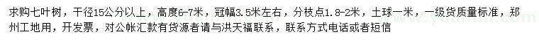 求購15公分以上七葉樹