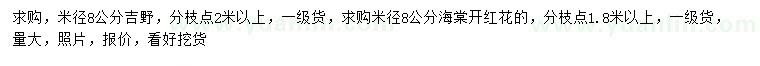 求購米徑8公分吉野櫻、紅花海棠