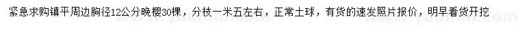 求購胸徑12公分晚櫻