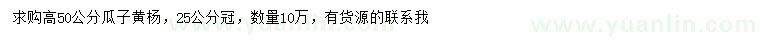 求購高50公分瓜子黃楊