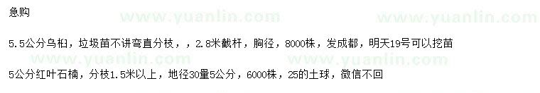 求購5.5公分烏桕、5公分紅葉石楠
