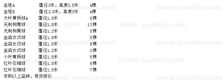 求購金桂、大葉黃楊球、無刺枸骨球等