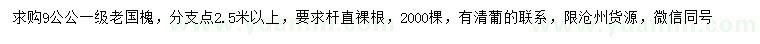 求購9公公老國槐