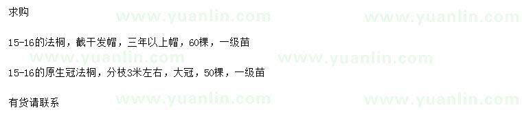 求購15-16公分法桐