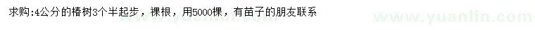 求購(gòu)3.5公分以上椿樹