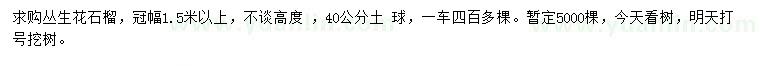 求購冠幅1.5米以上叢生花石榴