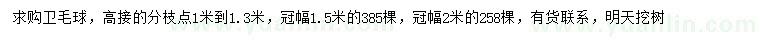 求購冠幅1.5、2米衛(wèi)矛球