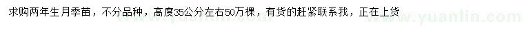 求購高35公分左右月季