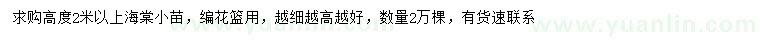 求購高2米以上海棠小苗