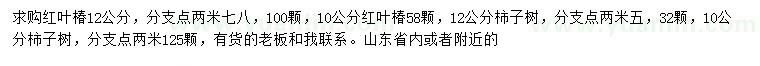 求購10、12公分紅葉椿、柿子樹