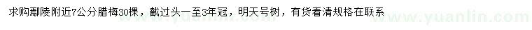 求購7公分臘梅