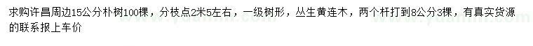求購15公分樸樹、2桿叢生黃連木