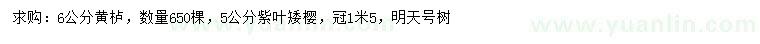 求購6公分黃櫨、5公分紫葉矮櫻