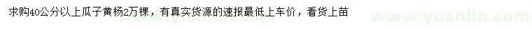求購(gòu)40公分以上瓜子黃楊