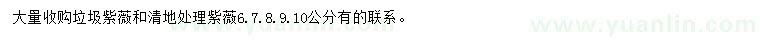求購(gòu)6-10公分紫薇
