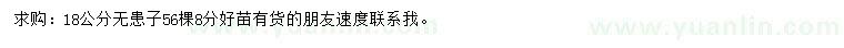 求購18公分無患子