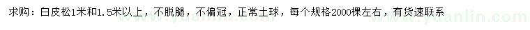 求購1、1.5米以上白皮松