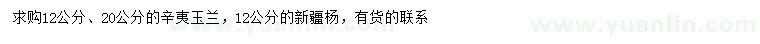 求購辛夷、玉蘭、新疆楊