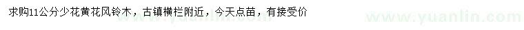 求購11公分少花黃花風鈴木