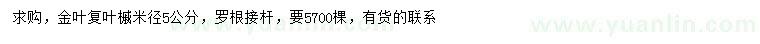 求購米徑5公分金葉復葉槭